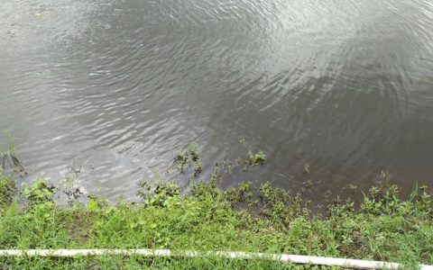 水产养殖水质调控五法，夏秋天气多变加强巡塘