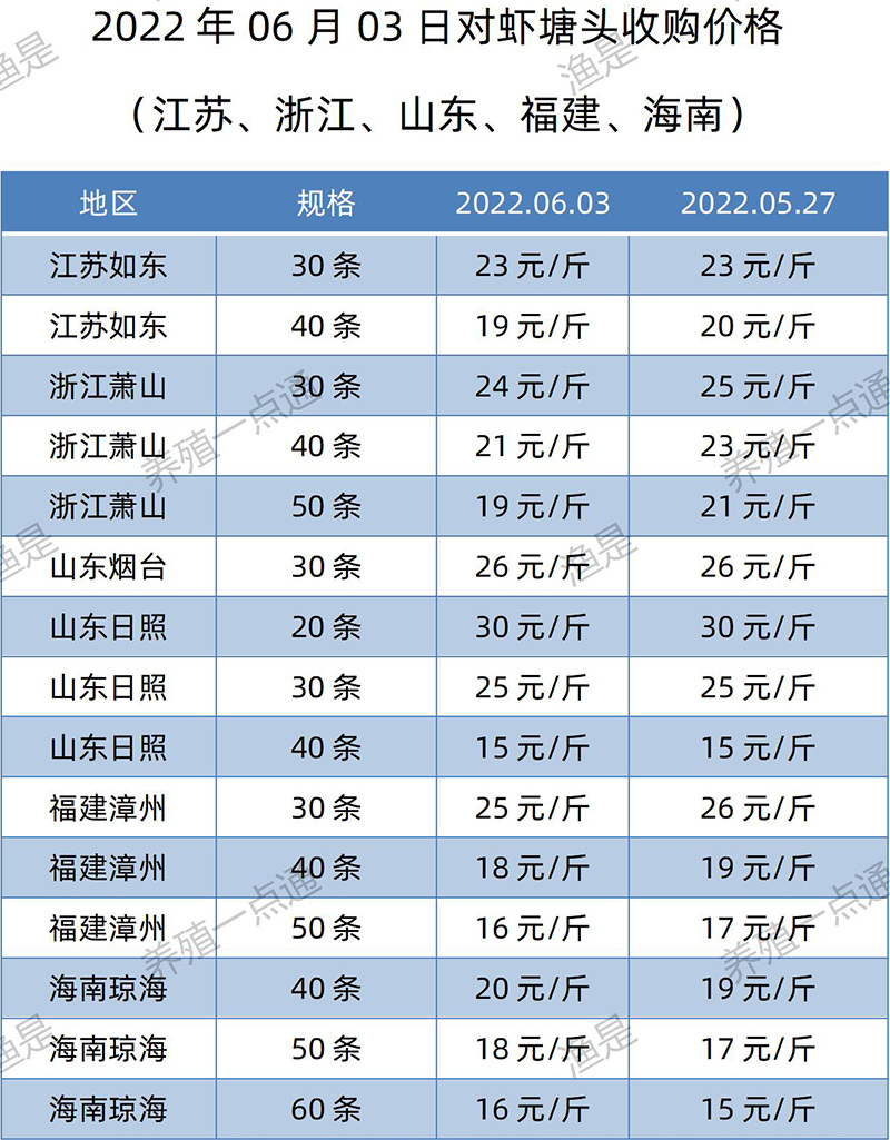 2022.06.03，南美白对虾塘头收购价格（江苏、山东、福建、海南）