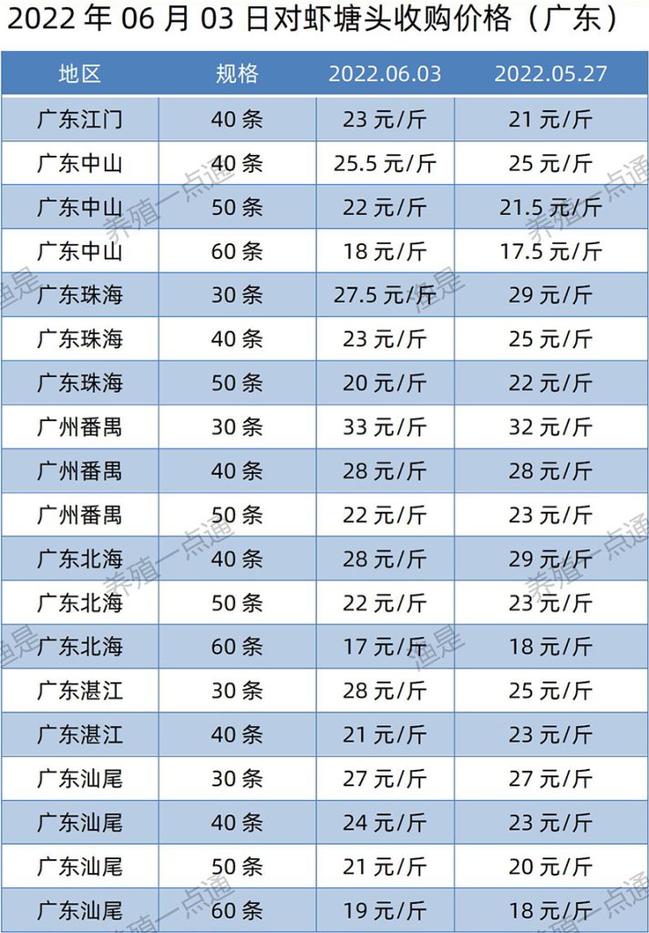 2022.06.03，南美白对虾塘头收购价格（广东）