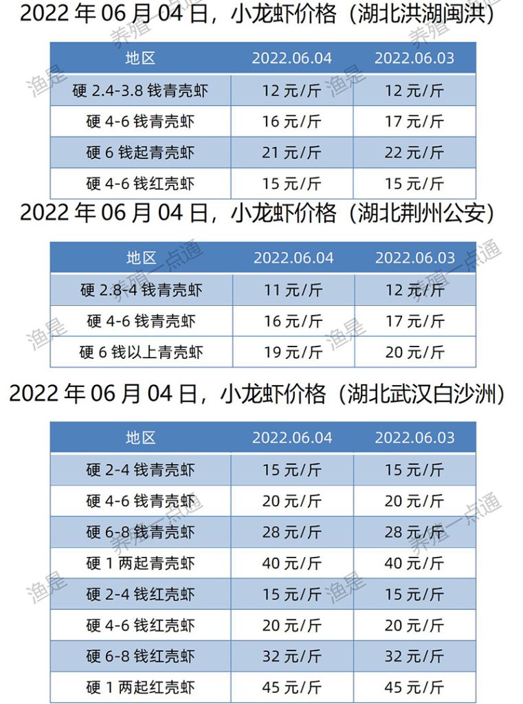 2022.06.04，小龙虾价格（湖北）