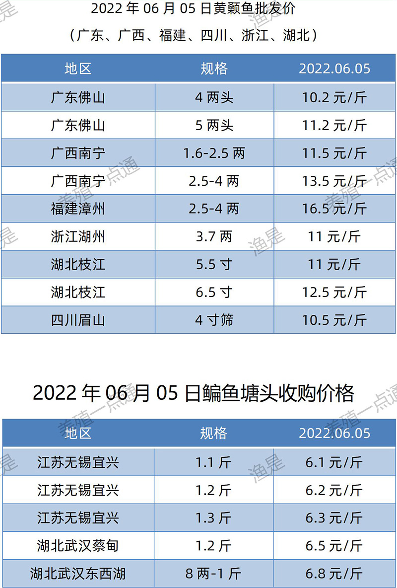 2022.06.05，花鲢、黄颡塘头收购价