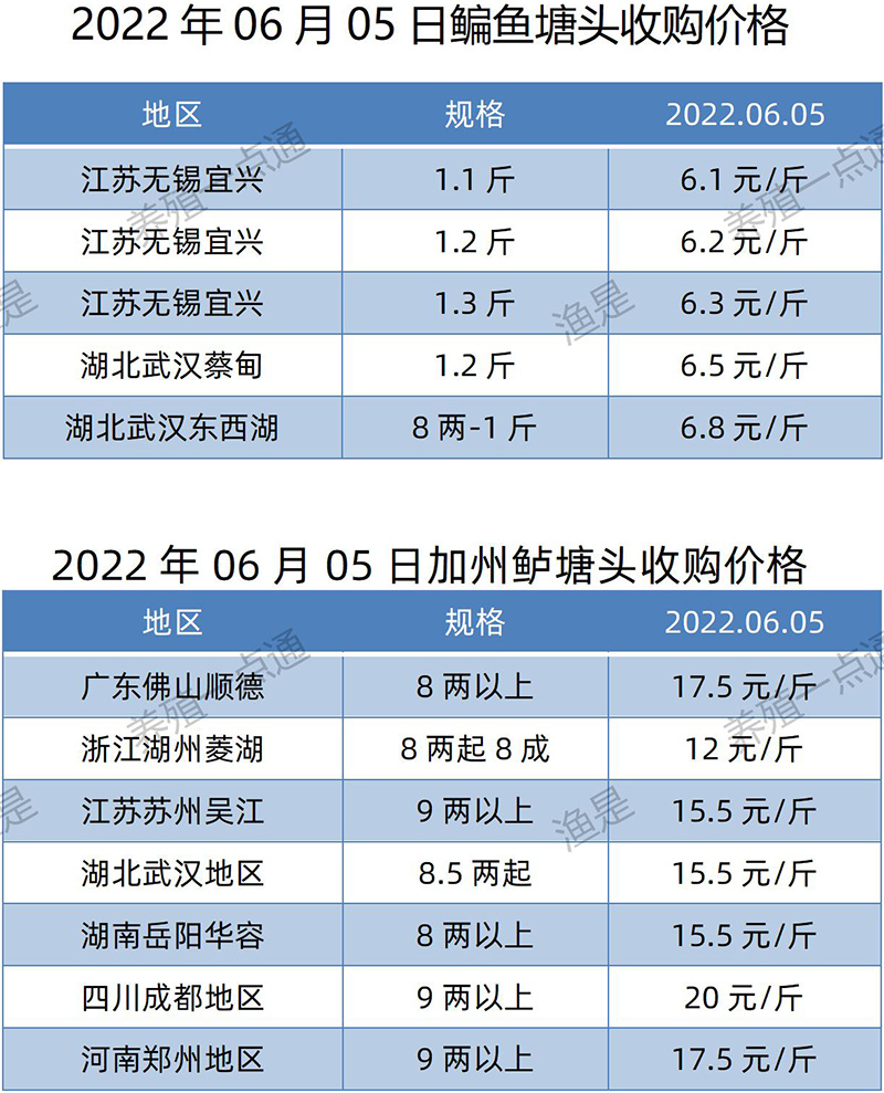 2022.06.05，鳊鱼、加州鲈塘头收购价