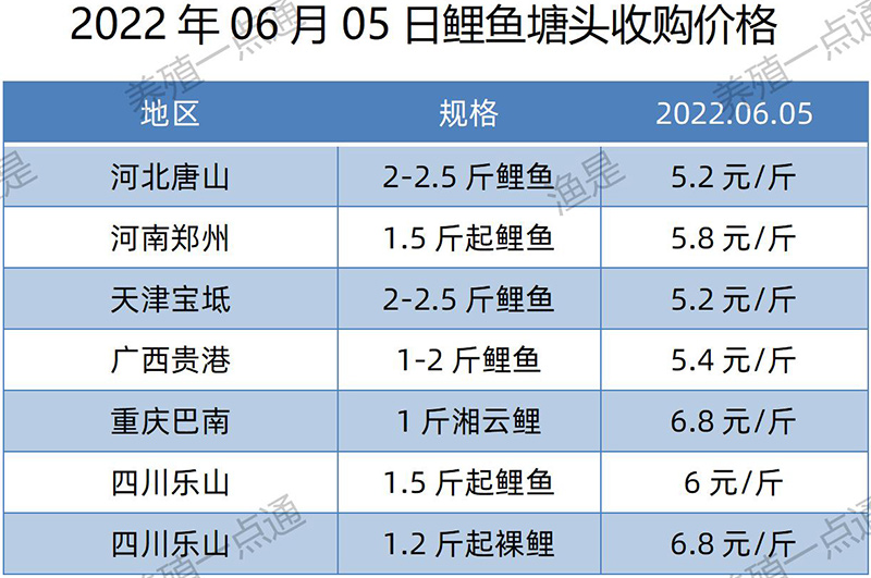 2022.06.05，鲤鱼塘头收购价