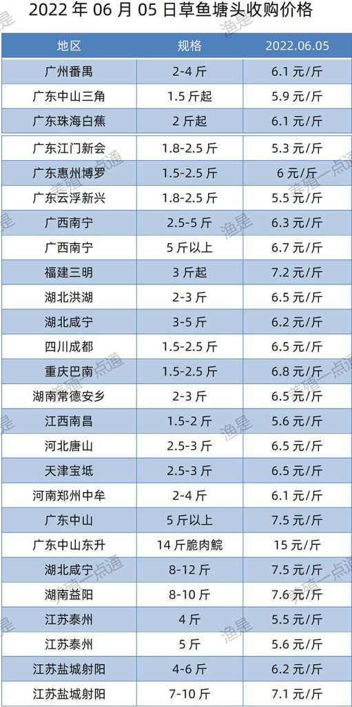 2022.06.05，草鱼塘头收购价