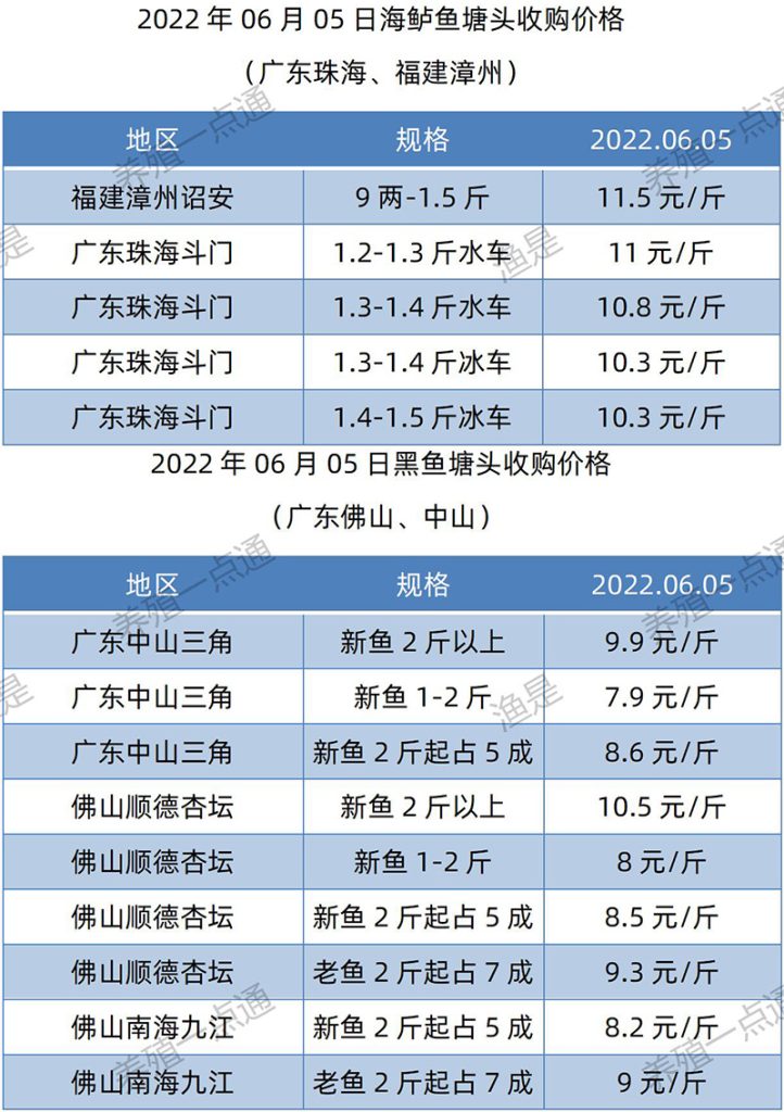 2022.06.05，海鲈、黑鱼塘头收购价