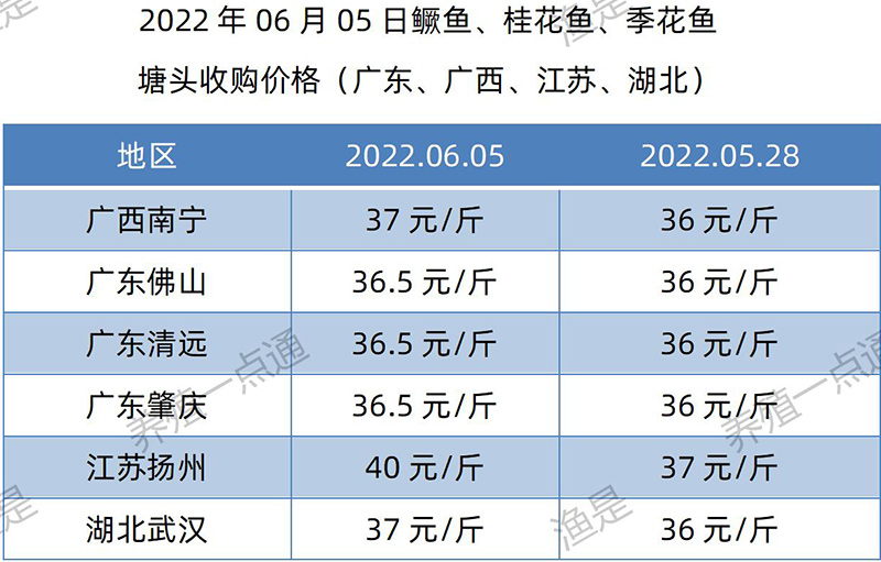 2022.06.05，鳜鱼塘头收购价