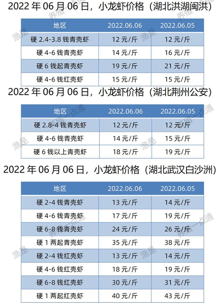 2022.06.06，小龙虾价格（湖北）