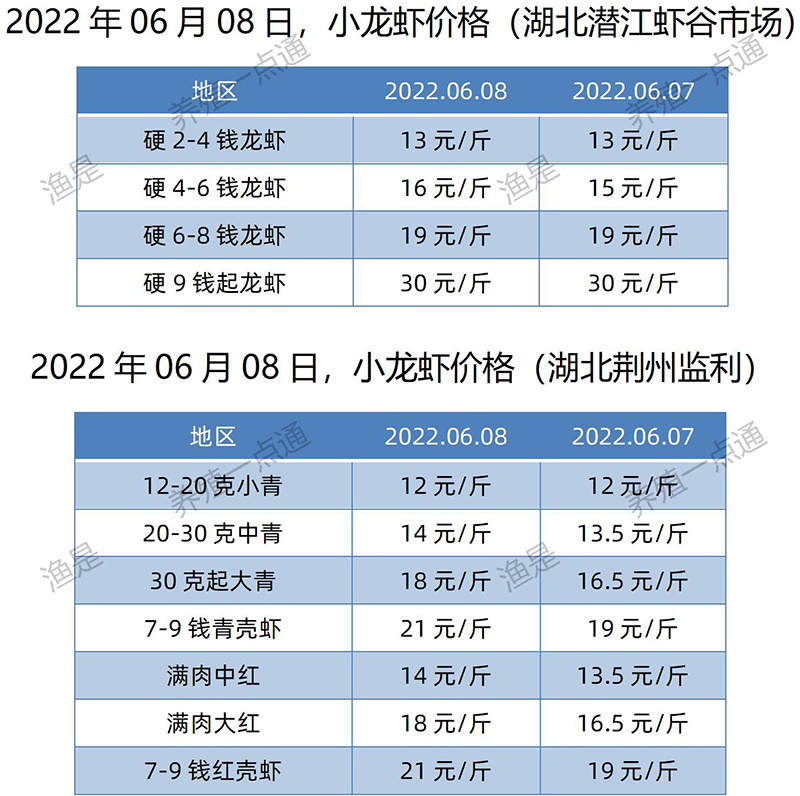 2022.06.08，小龙虾价格（湖北）