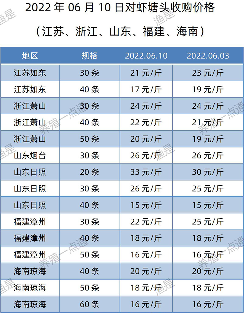 2022.06.10，南美白对虾塘头收购价格（江苏、山东、福建、海南）