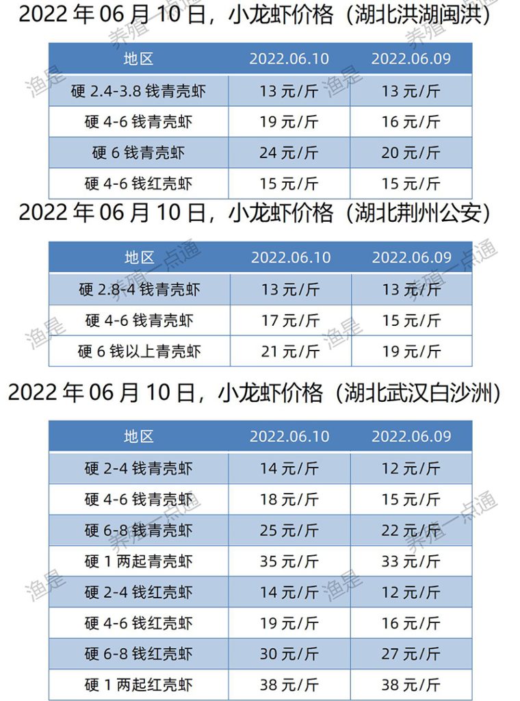 2022.06.10，小龙虾价格（湖北）