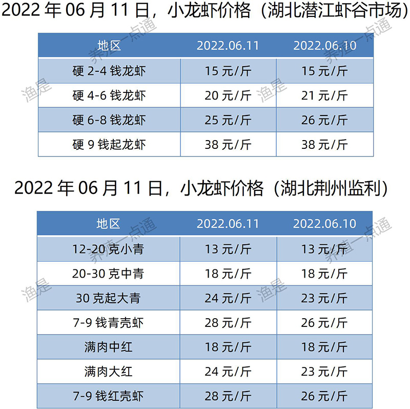 2022.06.11，小龙虾价格（湖北）