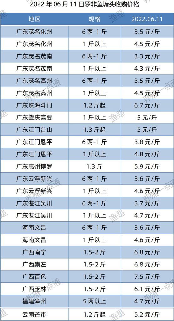 2022.06.11，罗非鱼塘头收购价