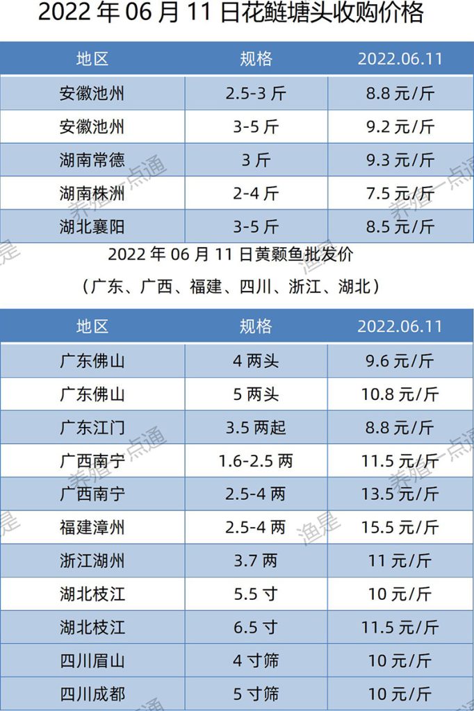 2022.06.11，花鲢、黄颡鱼塘头收购价