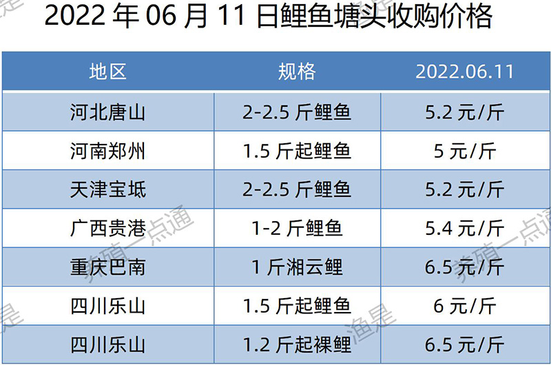 2022.06.11，鲤鱼塘头收购价