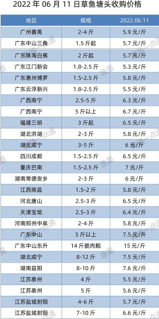 2022.06.11，草鱼塘头收购价