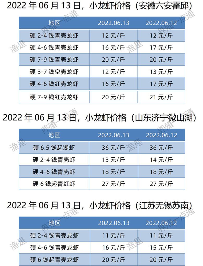 2022.06.13，小龙虾价格（江苏、安徽、山东、广东）