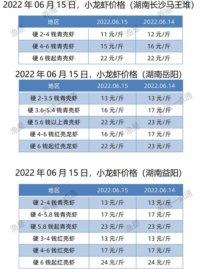 2022.06.15，小龙虾价格（湖南）