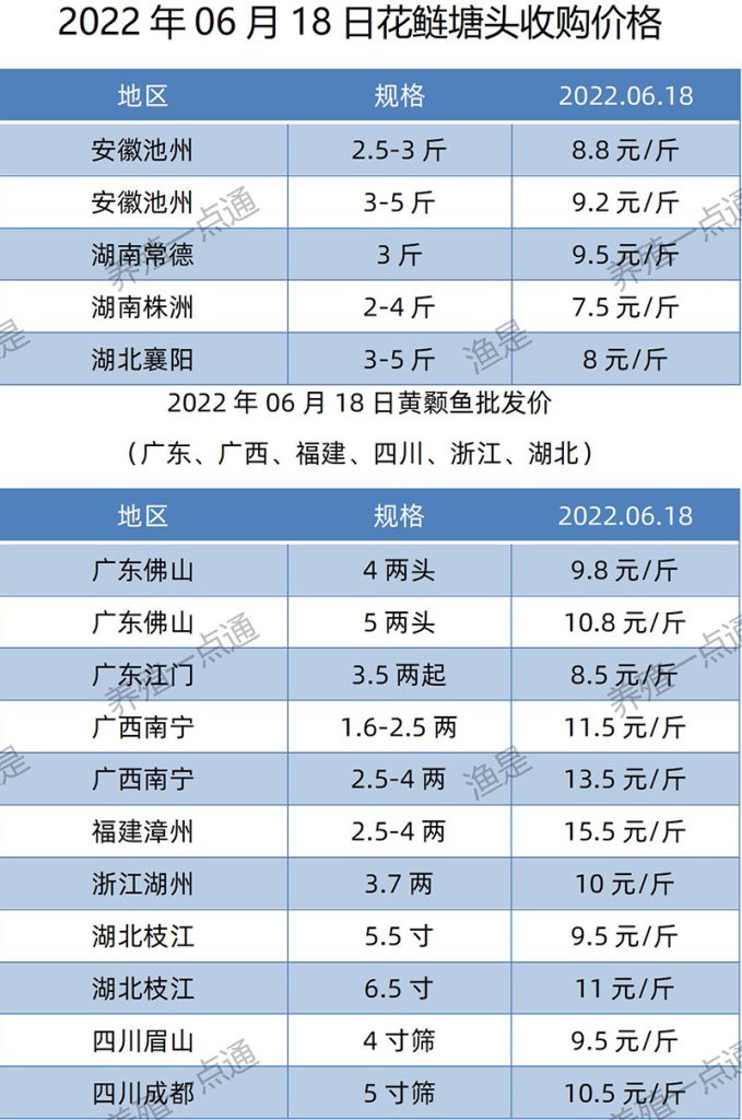 2022.06.18，花鲢、黄颡塘头收购价