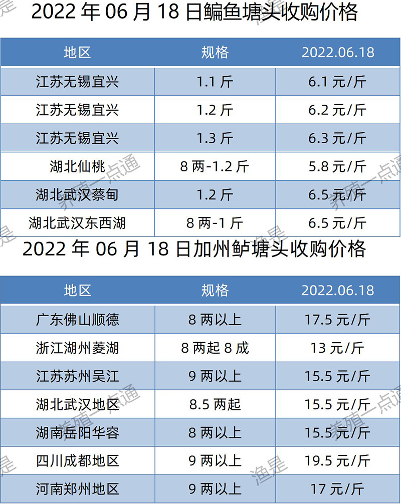 2022.06.18，鳊鱼、加州鲈塘头收购价