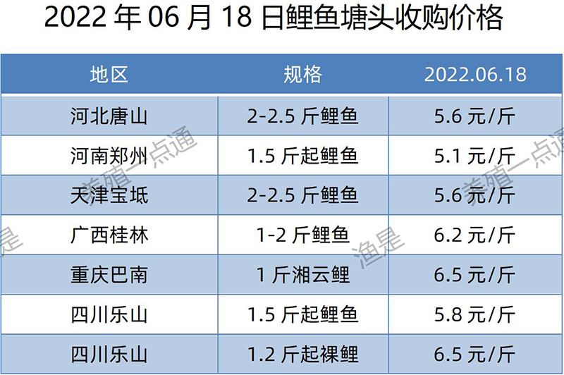 2022.06.18，鲤鱼塘头收购价