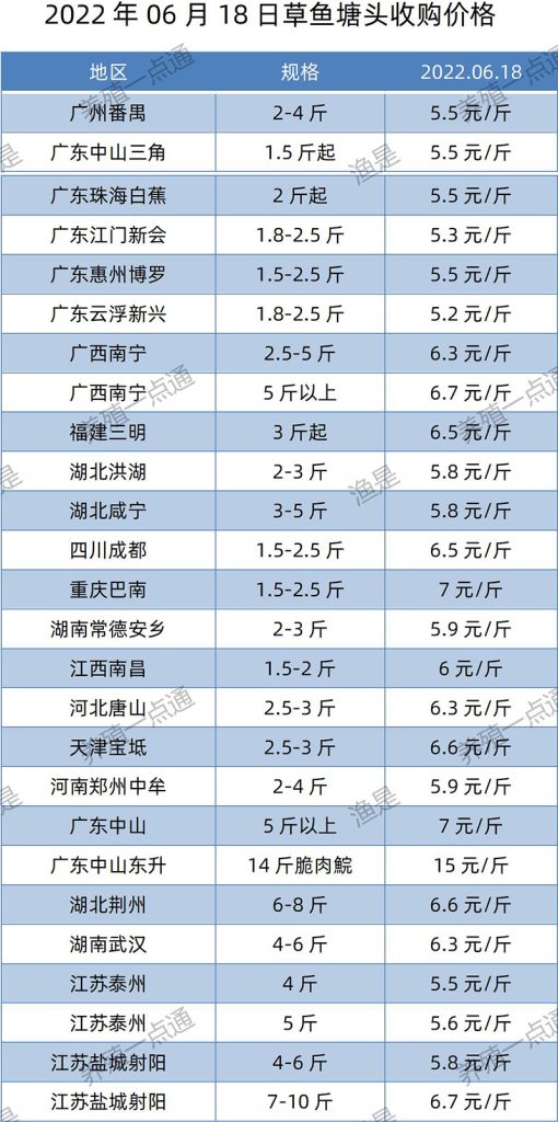 2022.06.18，草鱼塘头收购价