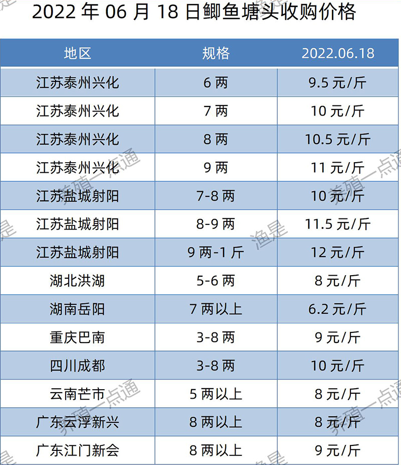 2022.06.18，鲫鱼塘头收购价