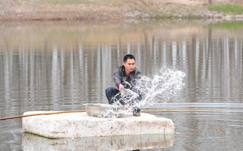 鱼病防治用药六法，泼洒、拌料、注射…，各具优劣