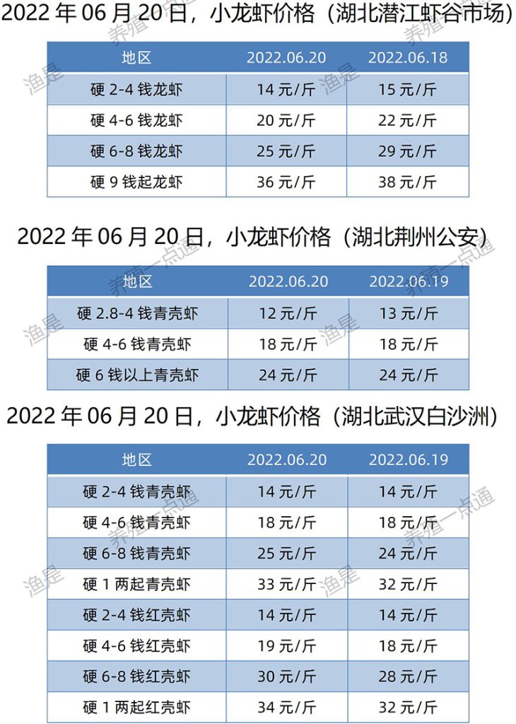 2022.06.20，小龙虾价格（湖北）