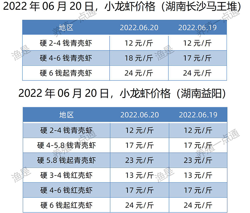 2022.06.20，小龙虾价格（湖南）