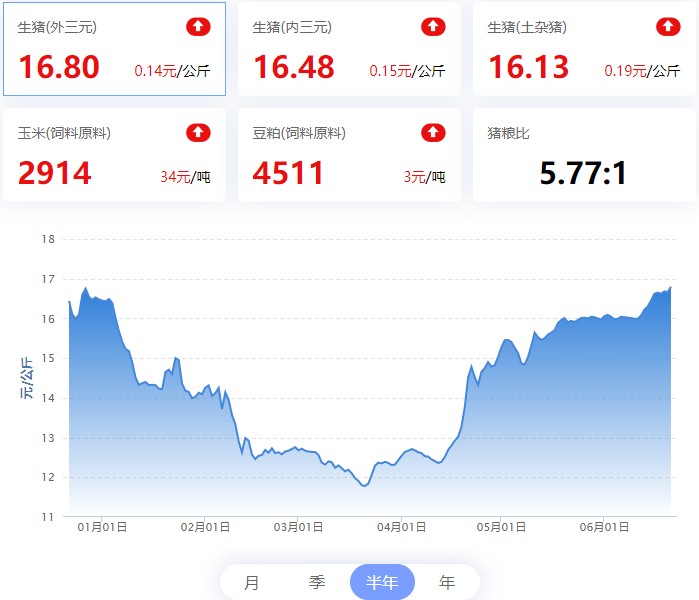 【猪评+鸡评】2022.06.21，猪价周末略强，局地小跌；蛋价小震，淘鸡小涨，肉鸡偏强，鸡苗小跌