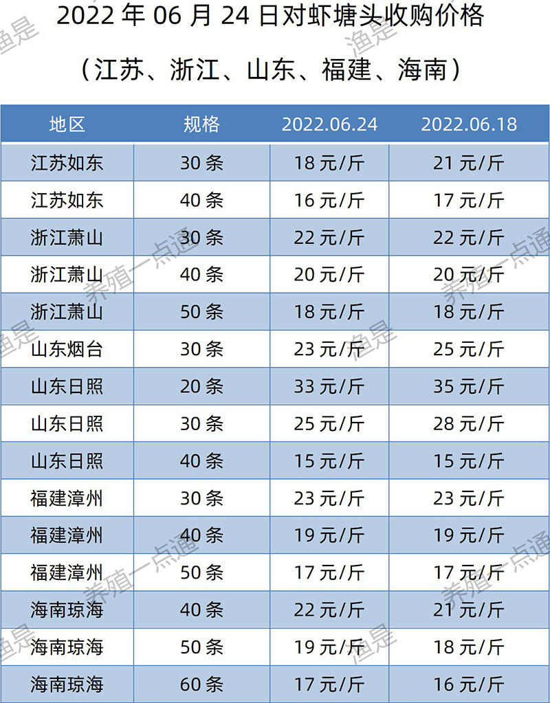 2022.06.24，南美白对虾塘头收购价格（江苏、山东、福建、海南）