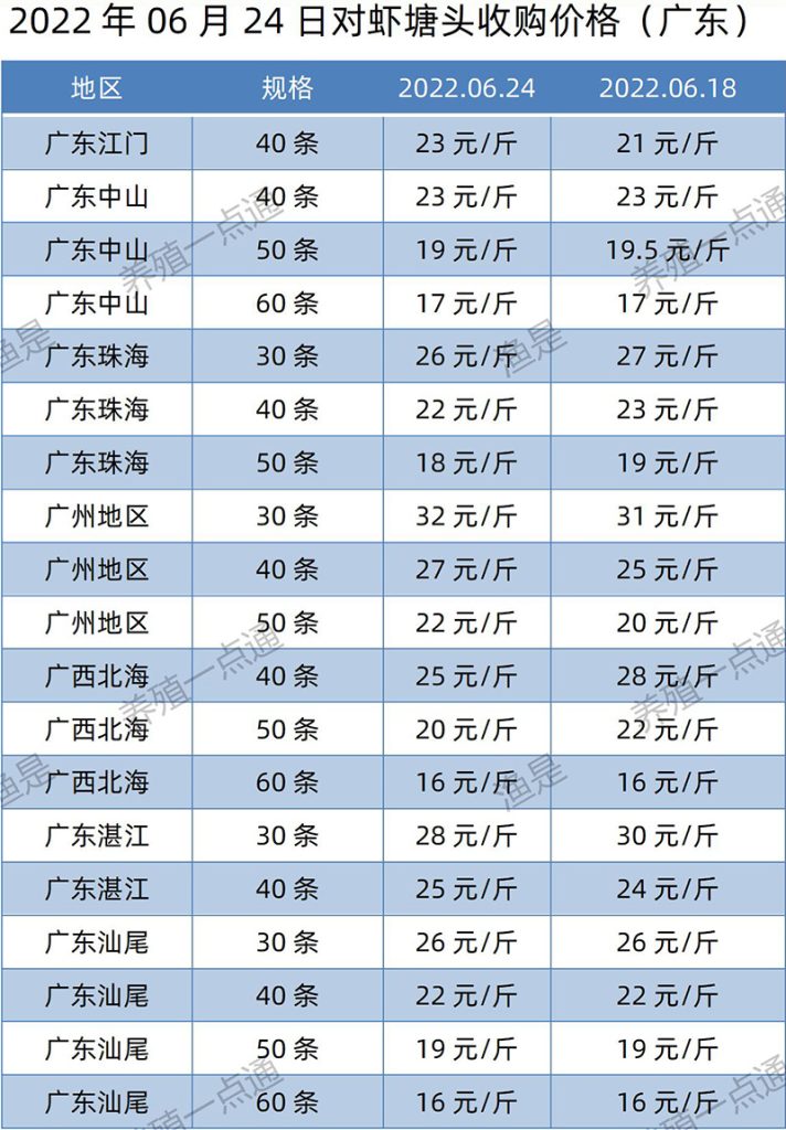 2022.06.24，南美白对虾塘头收购价格（广东）