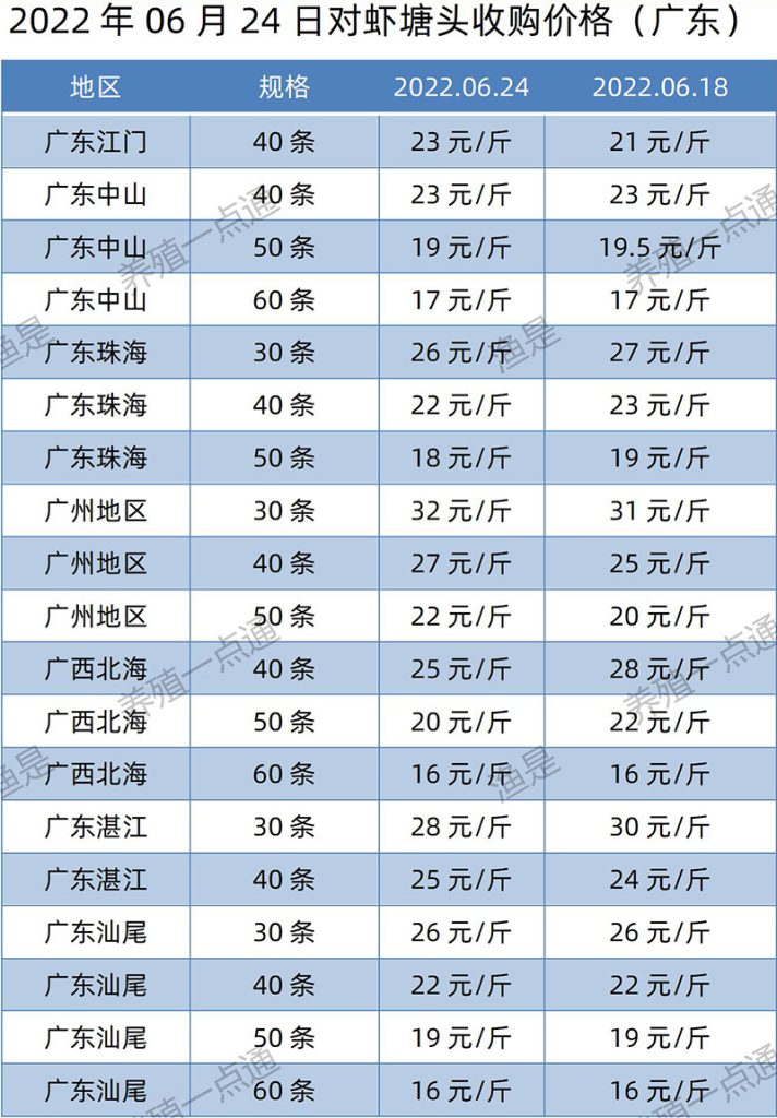 2022.06.24，南美白对虾塘头收购价格（广东）