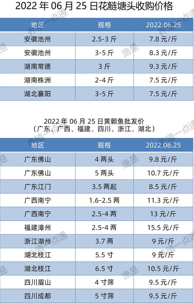 2022.06.25，花鲢、黄颡鱼塘头收购价