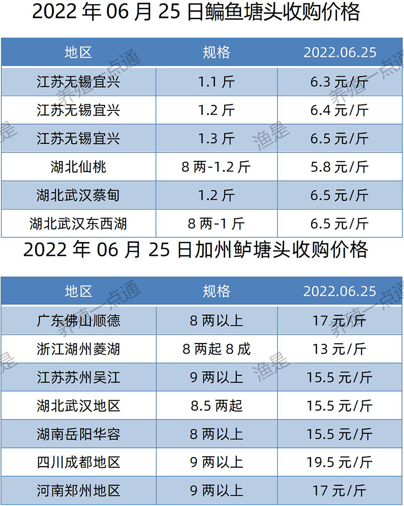 2022.06.25，鳊鱼、加州鲈塘头收购价