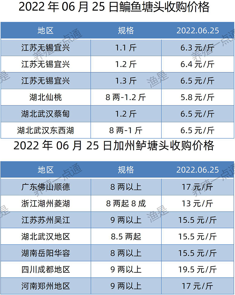 2022.06.25，鳊鱼、加州鲈塘头收购价