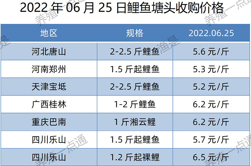 2022.06.25，鲤鱼塘头收购价