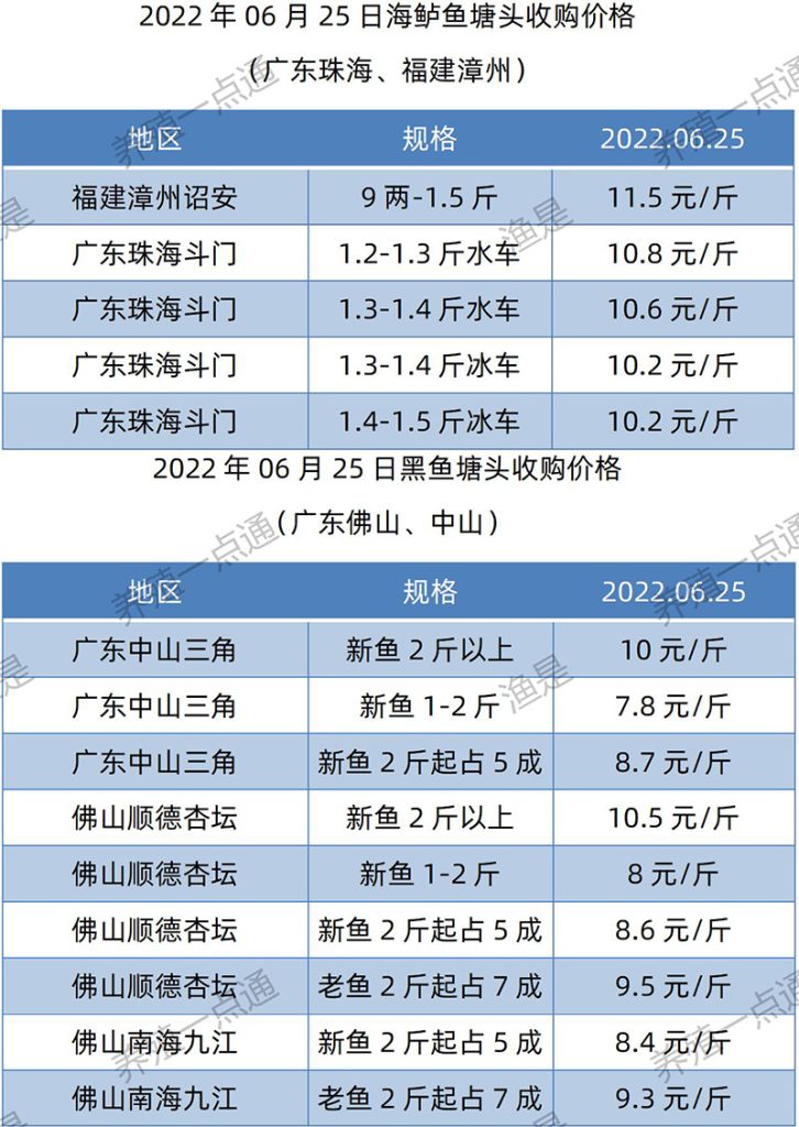 2022.06.25，海鲈、黑鱼塘头收购价