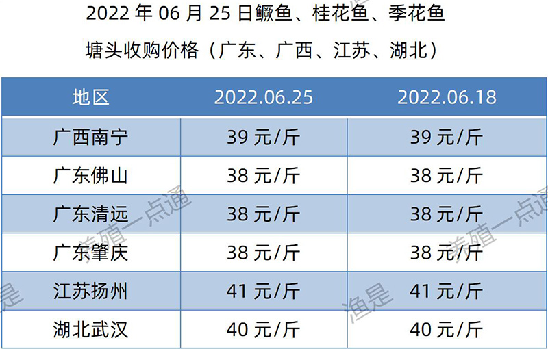 2022.06.25，鳜鱼塘头收购价