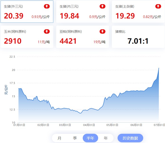 【猪评+鸡评】2022.06.30,人为控猪价暴涨,走势背离供需结构;蛋价止跌,淘鸡稳,肉鸡偏强震,鸡苗跌