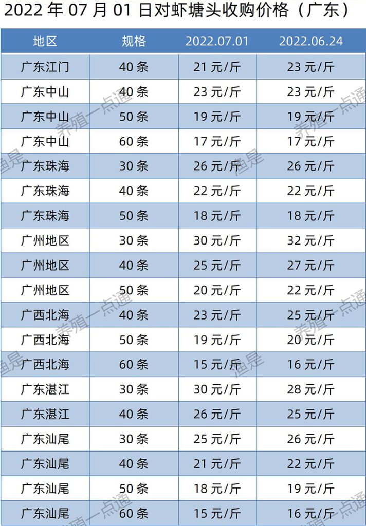 2022.07.01，南美白对虾塘头收购价格（广东）