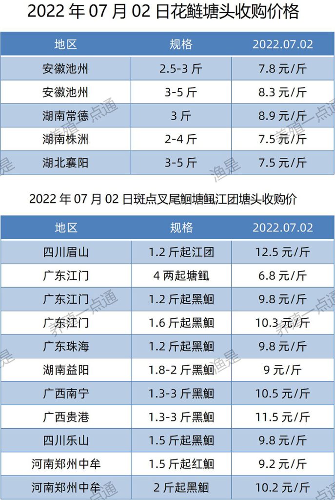 2022.07.02，花鲢、斑点叉尾鮰塘头收购价