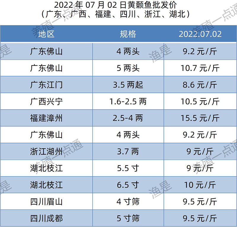 2022.07.02，黄颡鱼塘头收购价