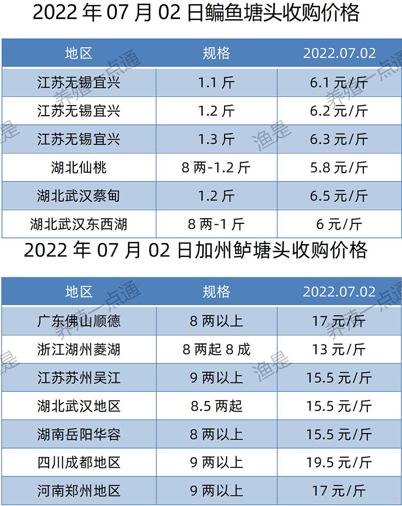 2022.07.02，鳊鱼、加州鲈塘头收购价