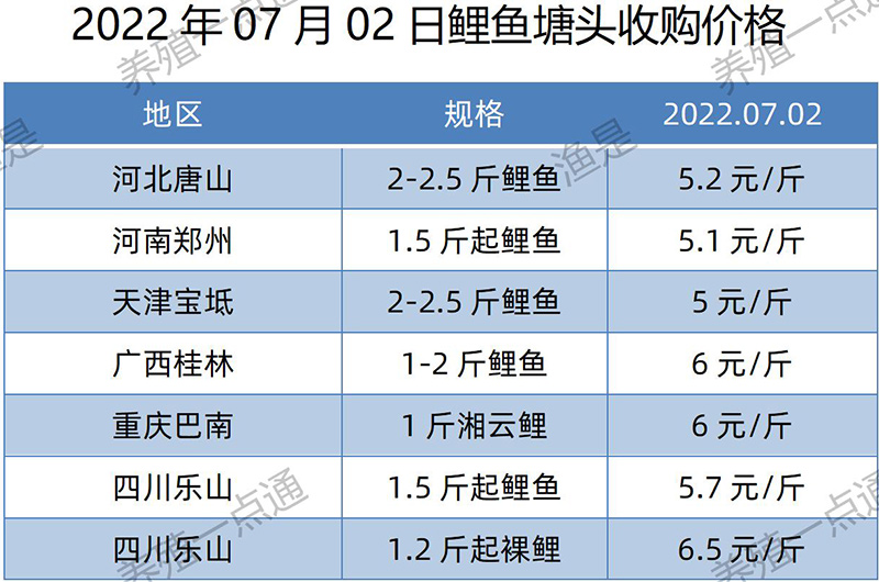 2022.07.02，鲤鱼塘头收购价