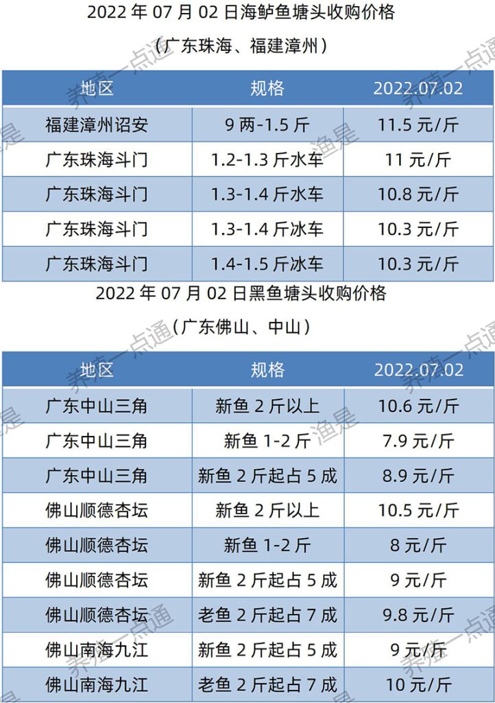 2022.07.02，海鲈、黑鱼塘头收购价