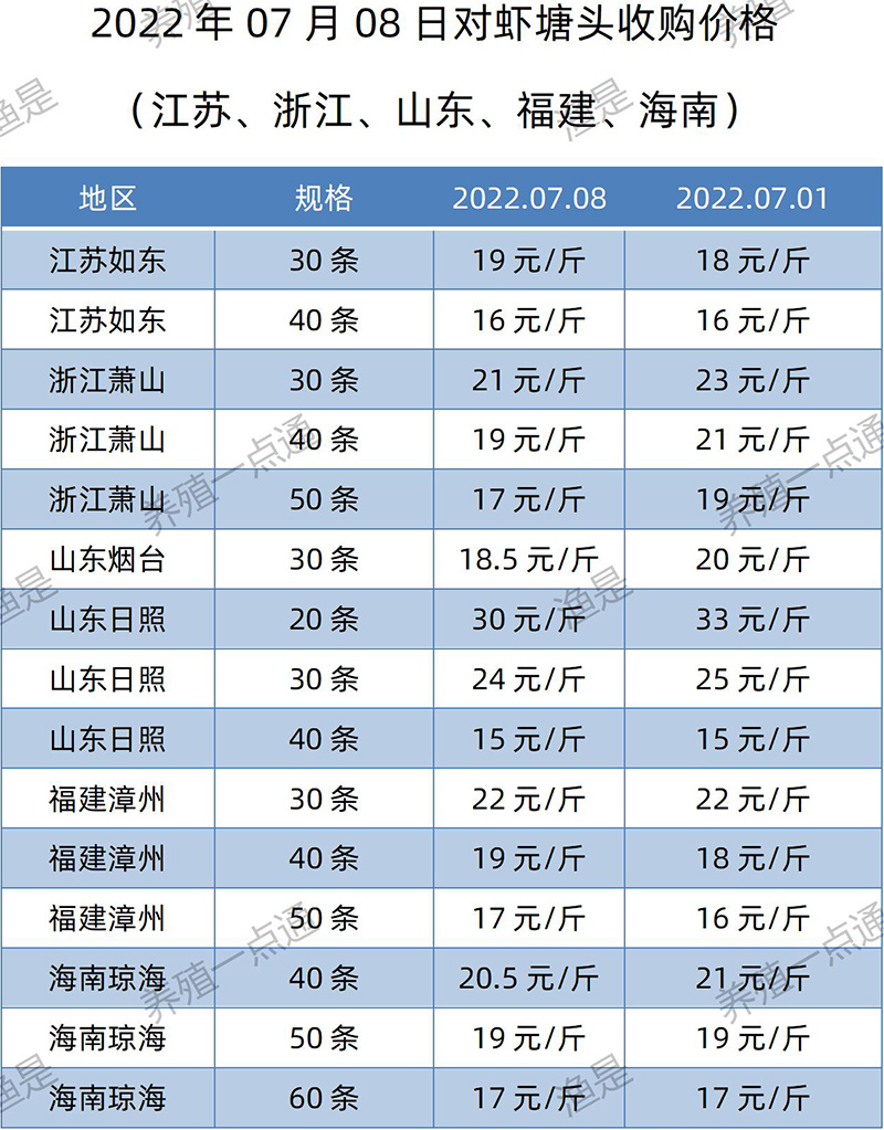 2022.07.08，南美白对虾塘头收购价格（江苏、山东、福建、海南）