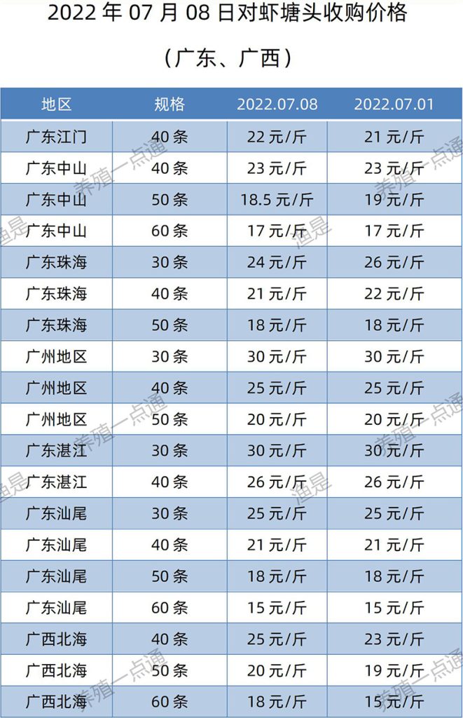 2022.07.08，南美白对虾塘头收购价格（广东、广西）