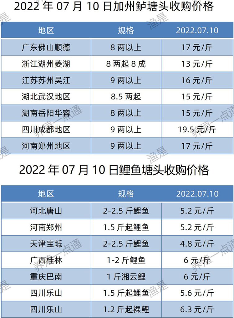 2022.07.10，加州鲈、鲤鱼塘头收购价