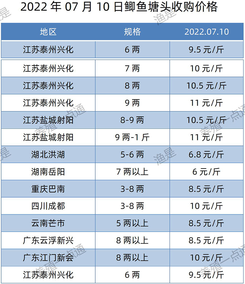 2022.07.10，鲫鱼塘头收购价